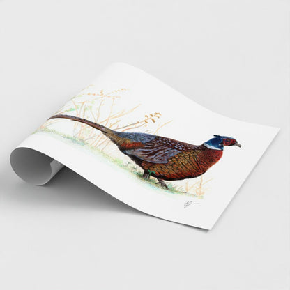 Pheasant Print prodigi