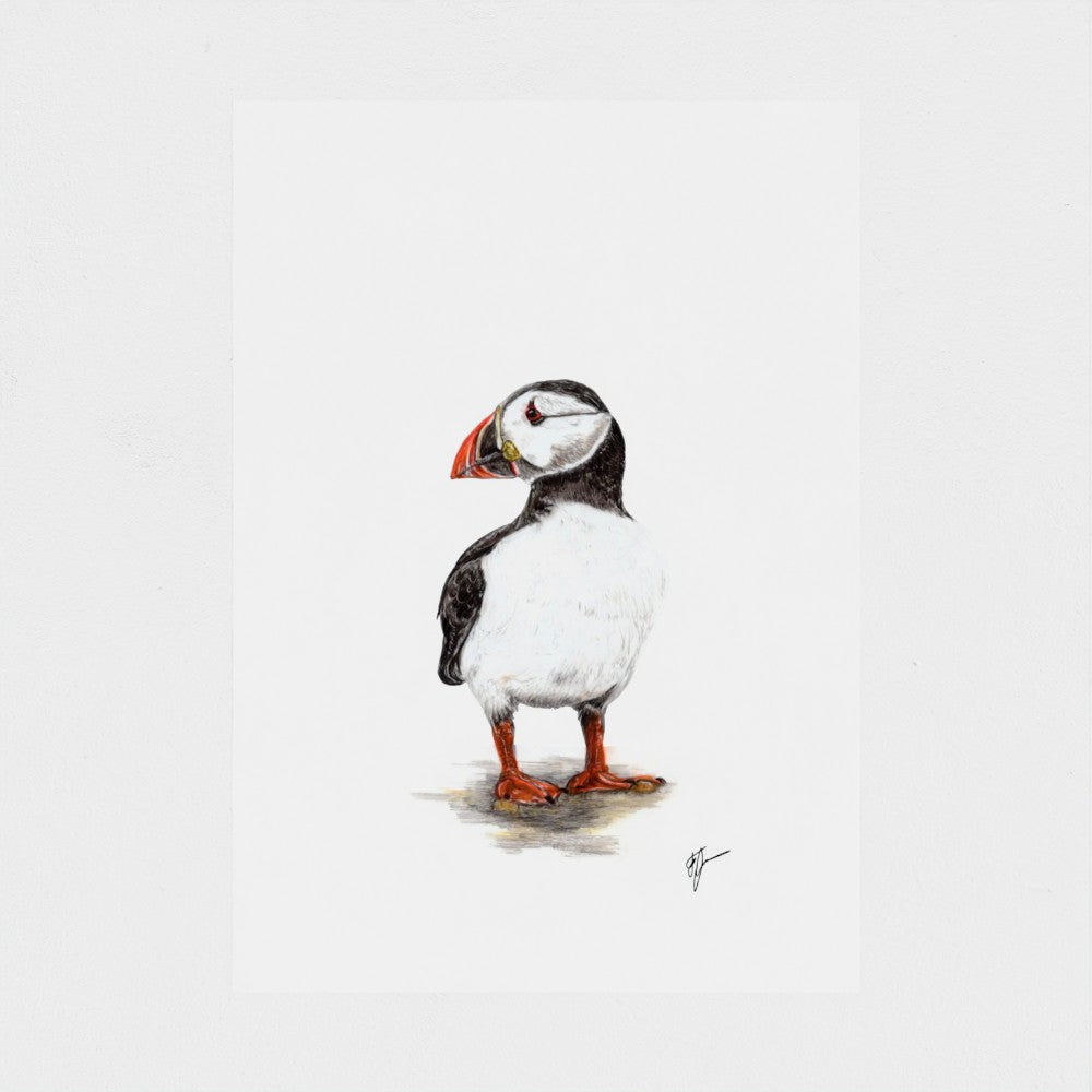 Puffin Print prodigi