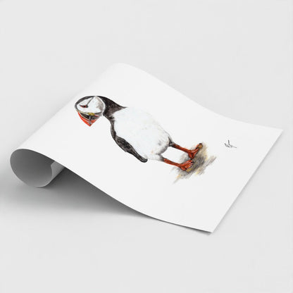 Puffin Print prodigi