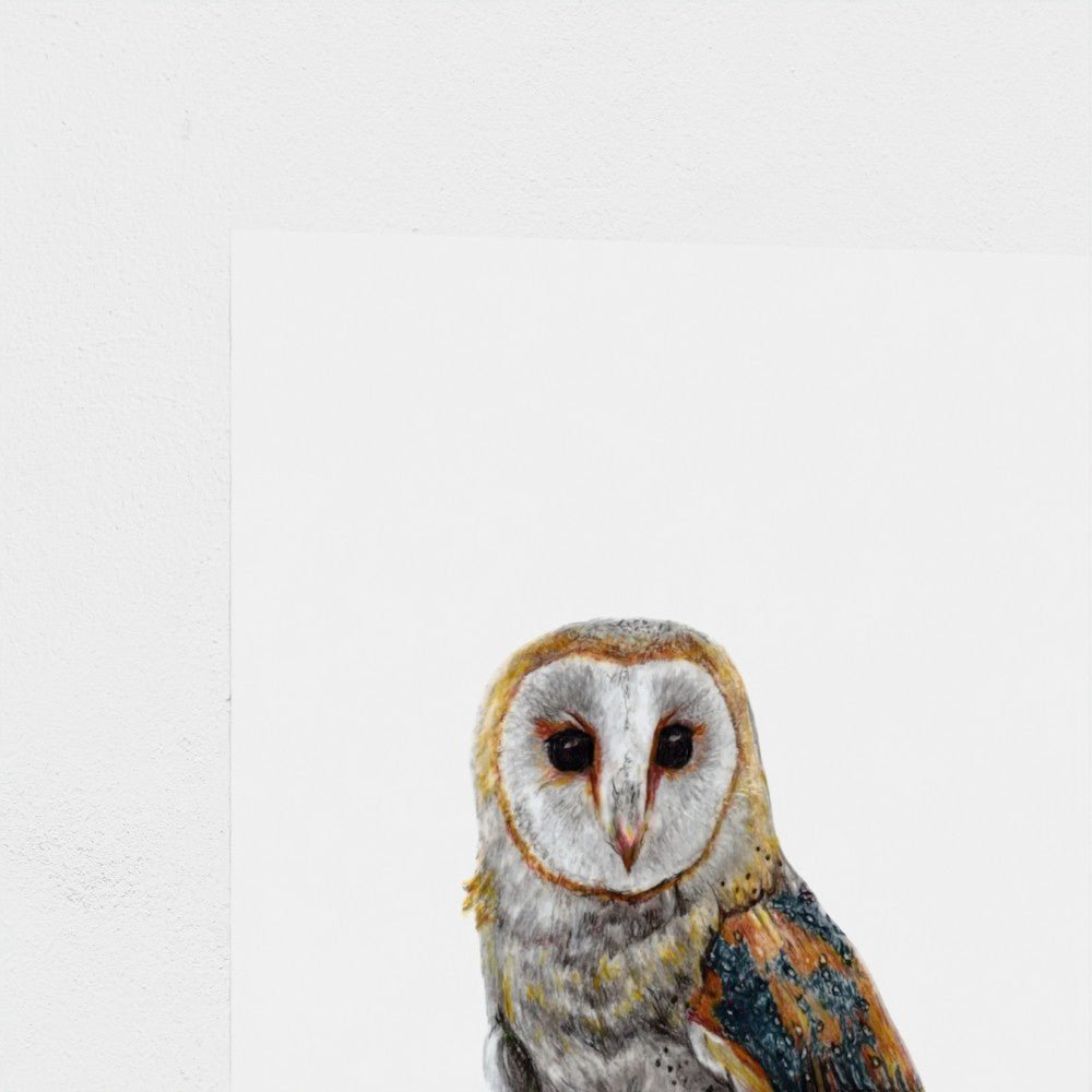 Barn Owl Wildlife Art Print | British Bird Wall Art My Store