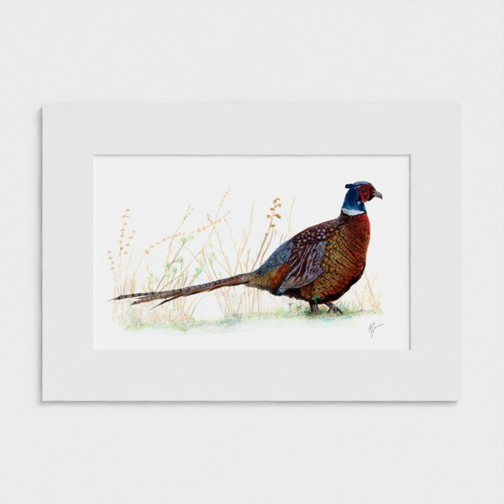Pheasant Print prodigi