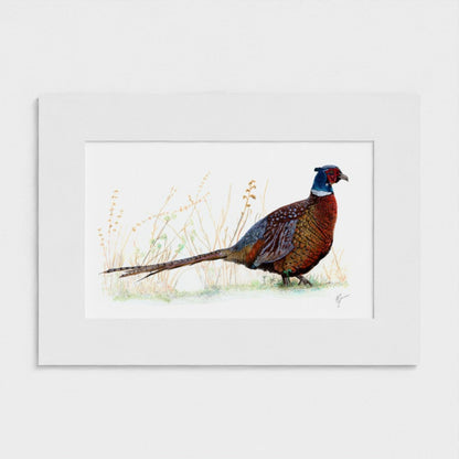 Pheasant Print prodigi