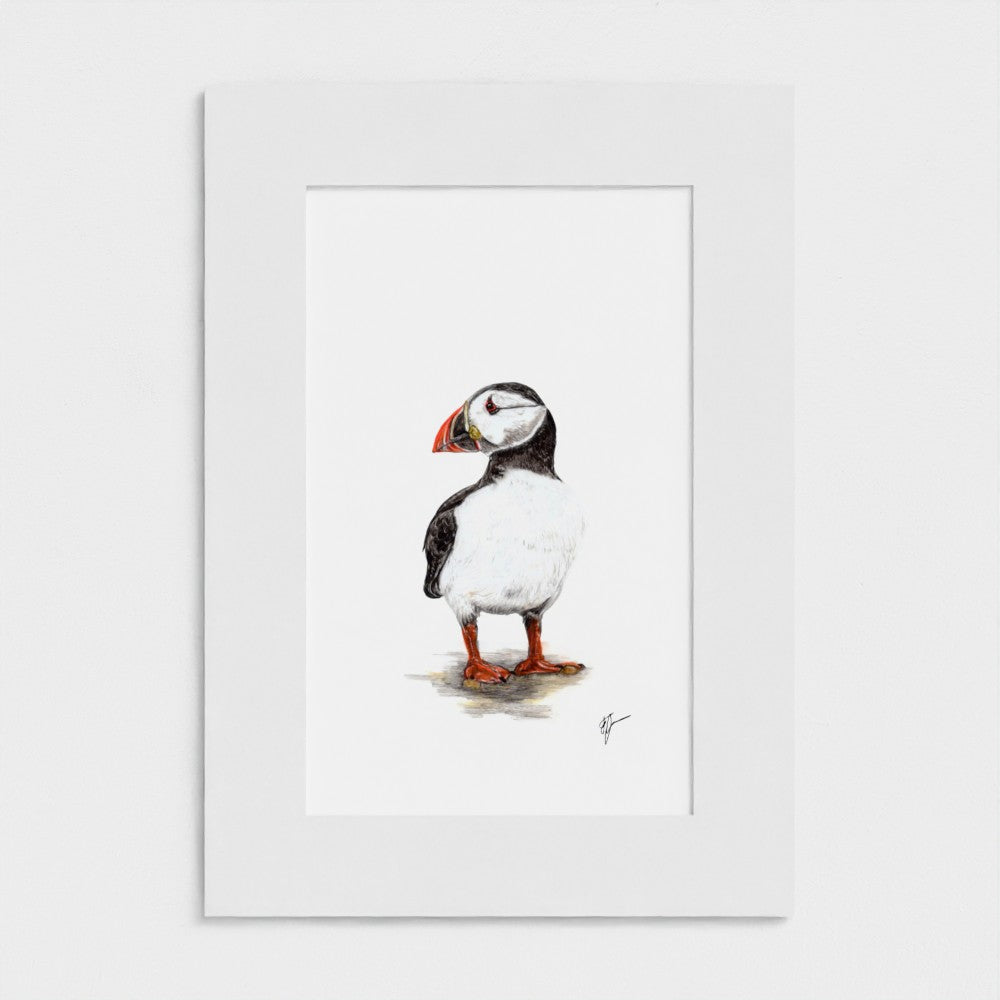 Puffin Print prodigi
