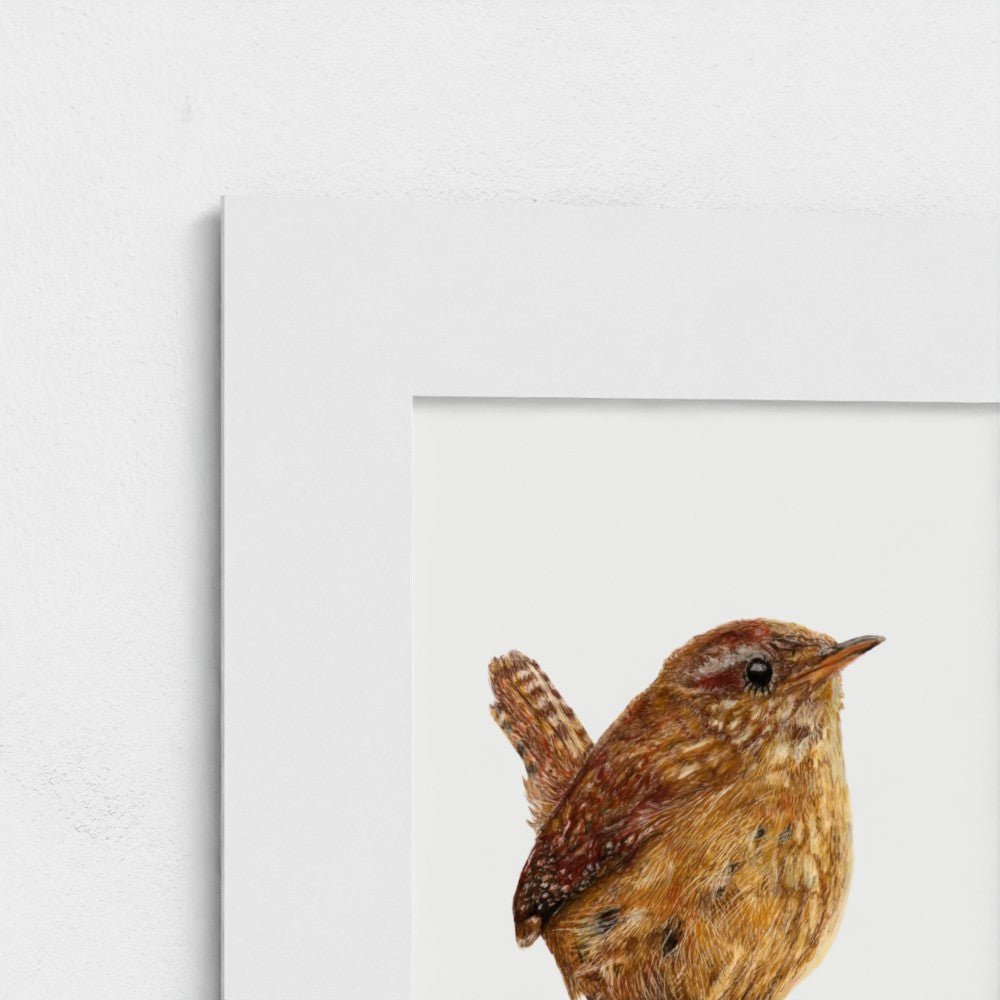 Wren Art Print | Grey Background | British Wildlife Wall Art | Open Edition prodigi
