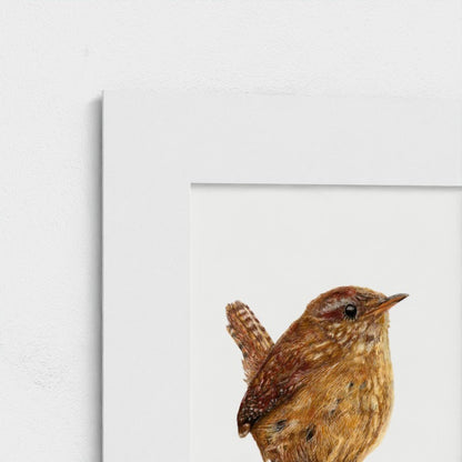 Wren Art Print | Grey Background | British Wildlife Wall Art | Open Edition prodigi