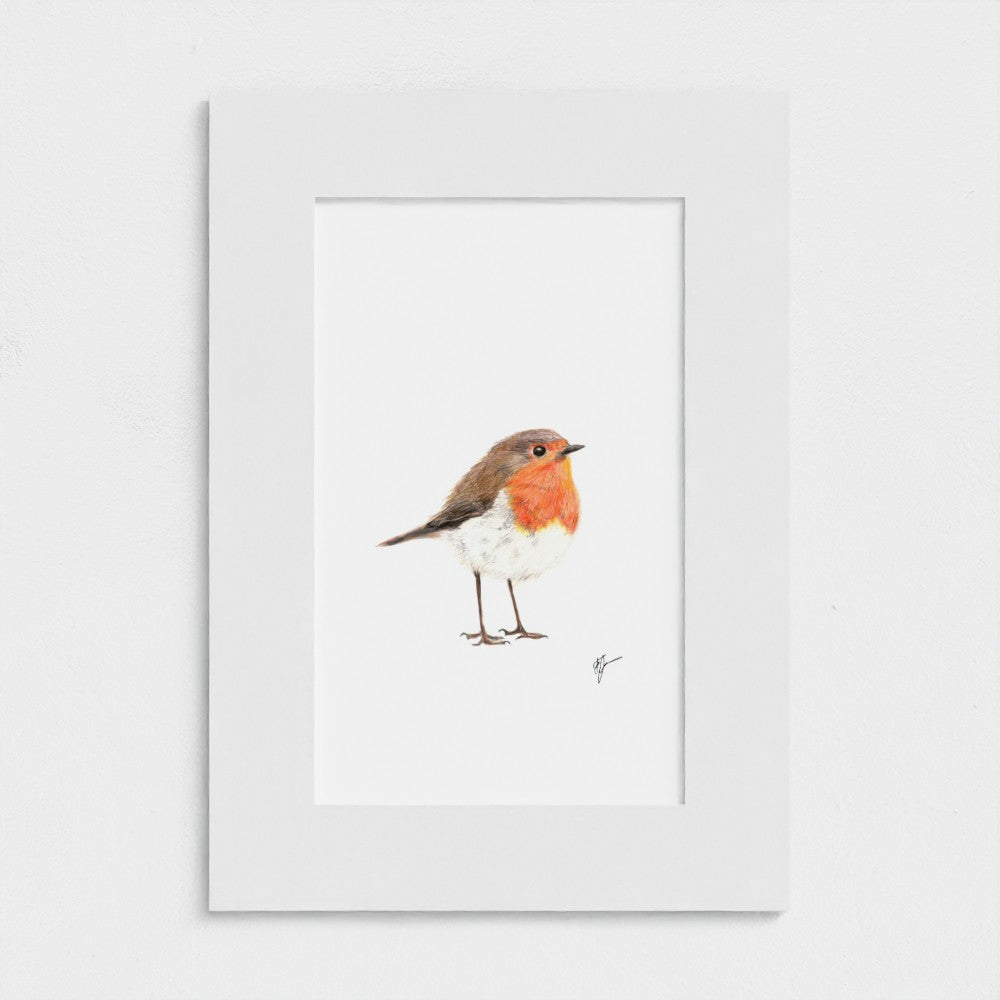 Little Red robin art print with mount