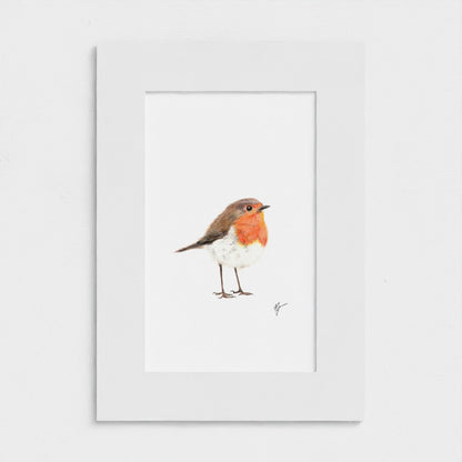 Robin Print