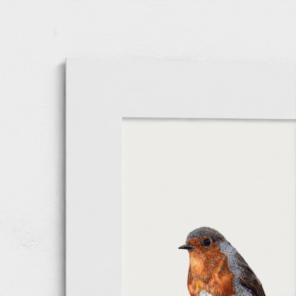 First Light Robin Art Print - British Garden Bird prodigi