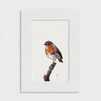 First Light robin art print with mount