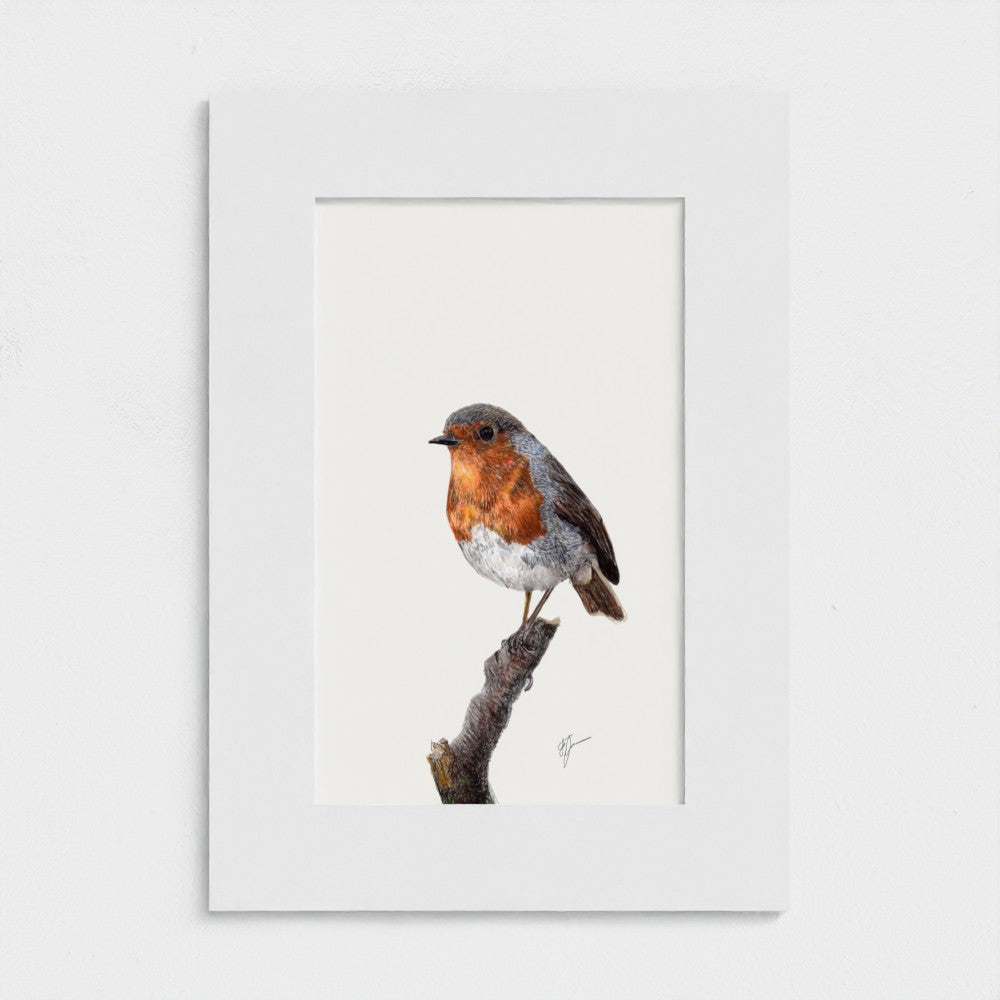 First Light Robin Art Print - British Garden Bird