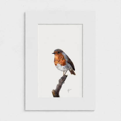 First Light Robin Art Print - British Garden Bird