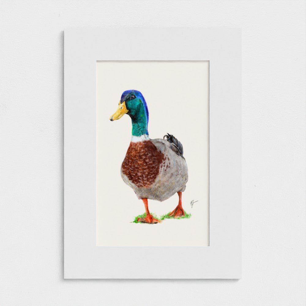 Framed artwork of a duck on a white background