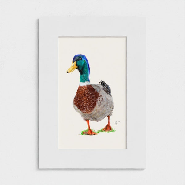 Framed artwork of a duck on a white background
