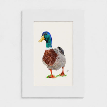 Duck Print