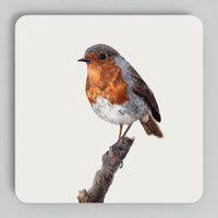 First Light robin coaster set featuring coloured-pencil wildlife artwork