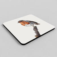 First Light robin coaster set featuring coloured-pencil wildlife artwork
