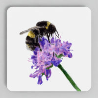 Bumblebee coaster set featuring original coloured-pencil bee artwork