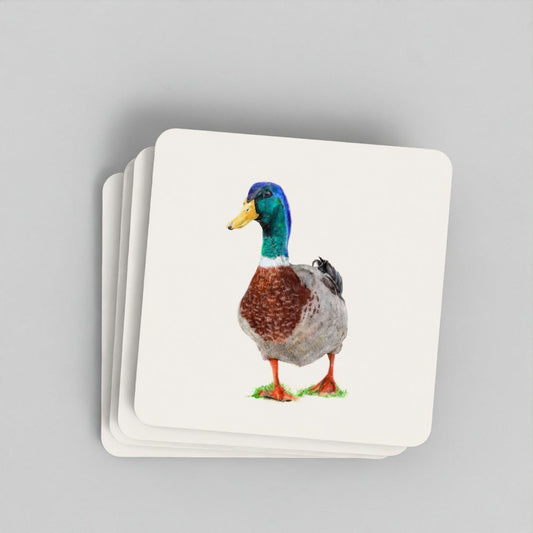 Duck Coaster Set - British Wildlife Art (Set of 4) prodigi