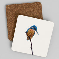 Kingfisher coaster set of 4 with hand-drawn British bird artwork