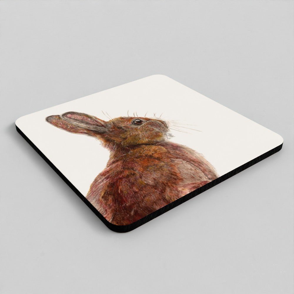 Hare Coaster Set – British Wildlife Art Coasters (Set of 4) Art by Jay | Wildlife Art