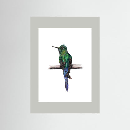 Hummingbird Art Print | Wildlife Wall Art for Nature Lovers