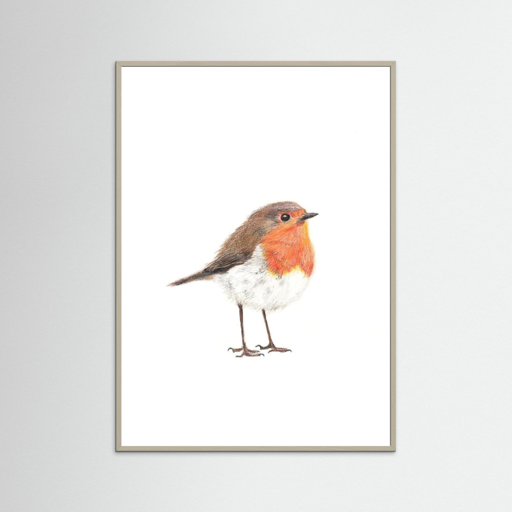 Robin Art Print | Wildlife Wall Art for Nature Lovers