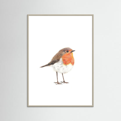 Robin Art Print | Wildlife Wall Art for Nature Lovers