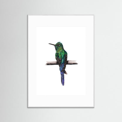 Hummingbird Art Print | Wildlife Wall Art for Nature Lovers