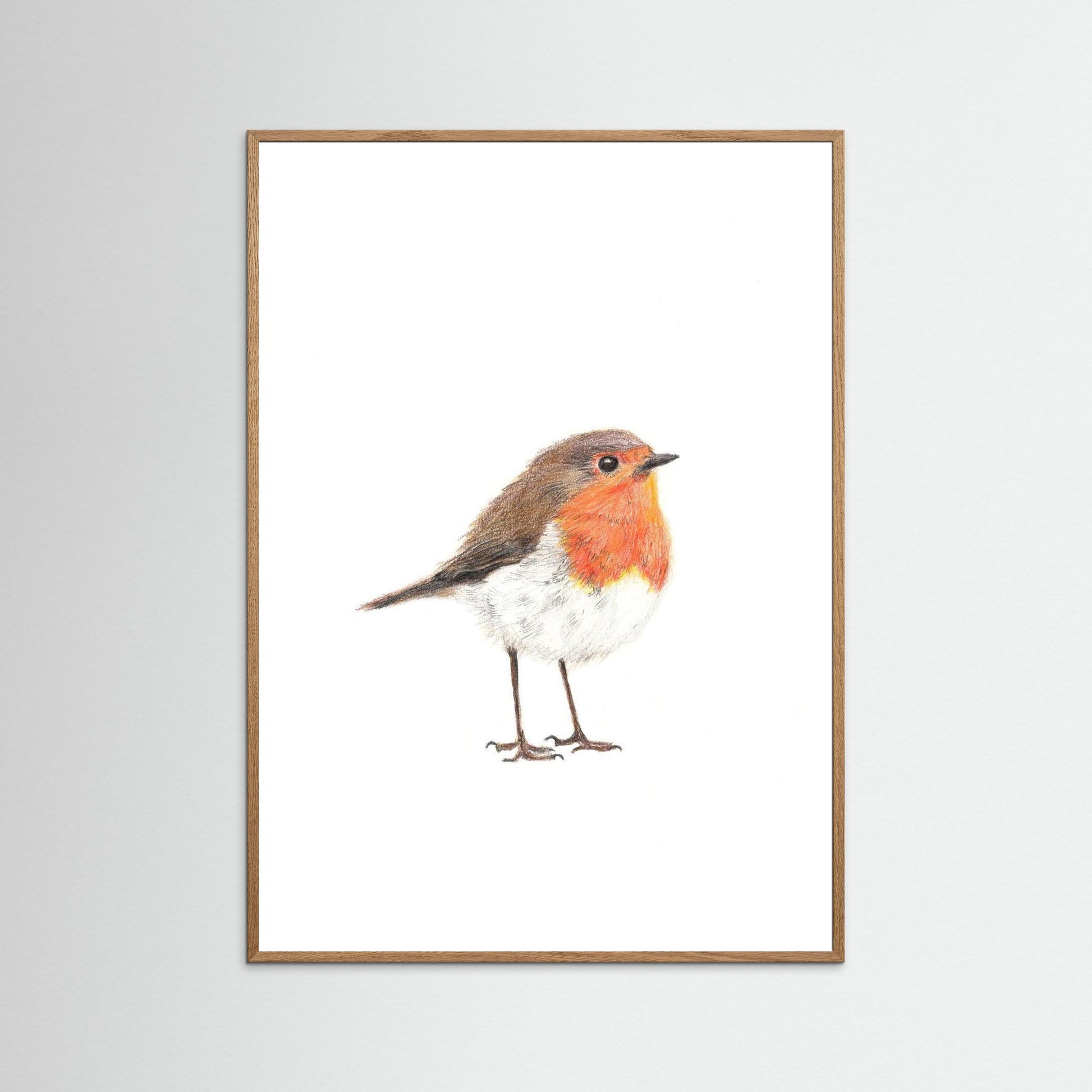 Robin Art Print | Wildlife Wall Art for Nature Lovers
