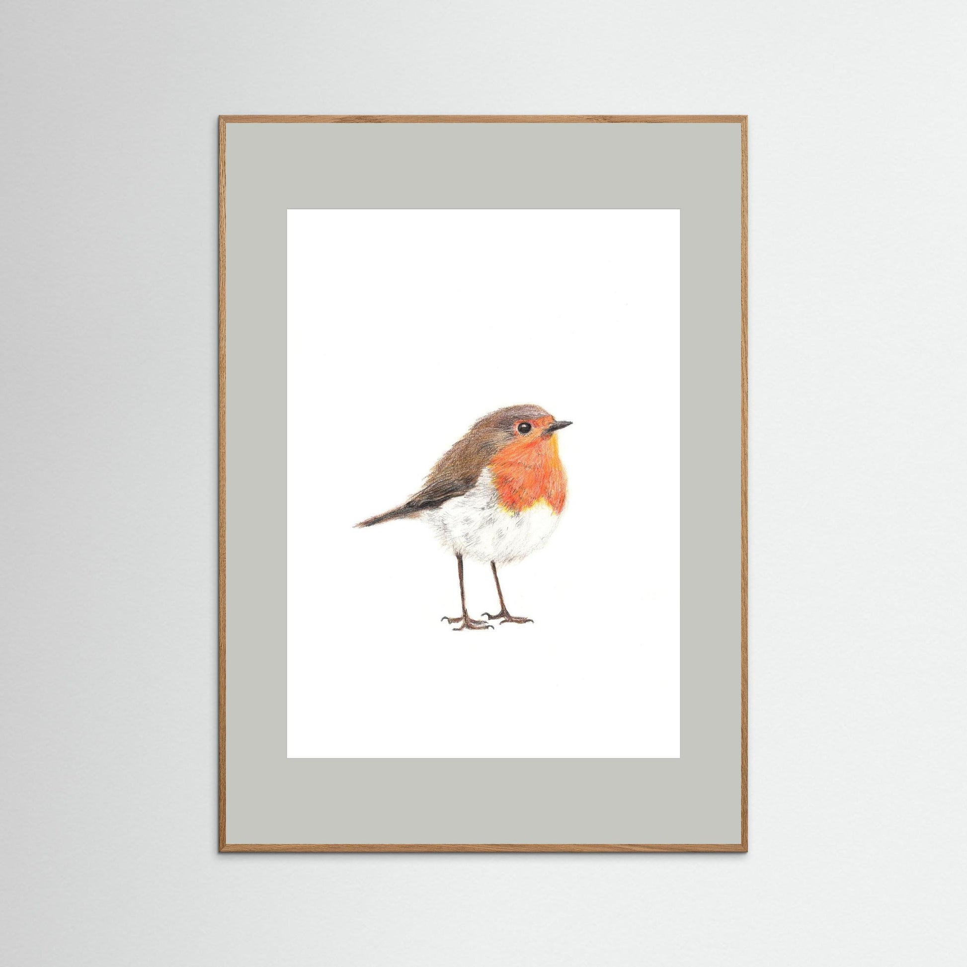 Robin Art Print | Wildlife Wall Art for Nature Lovers