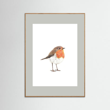 Robin Art Print | Wildlife Wall Art for Nature Lovers