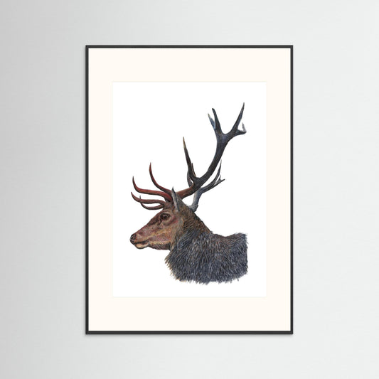Stag Art Print