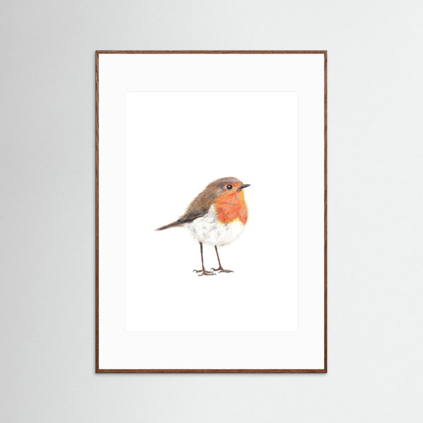 Robin Art Print | Wildlife Wall Art for Nature Lovers