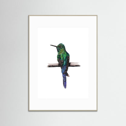 Hummingbird Art Print | Wildlife Wall Art for Nature Lovers