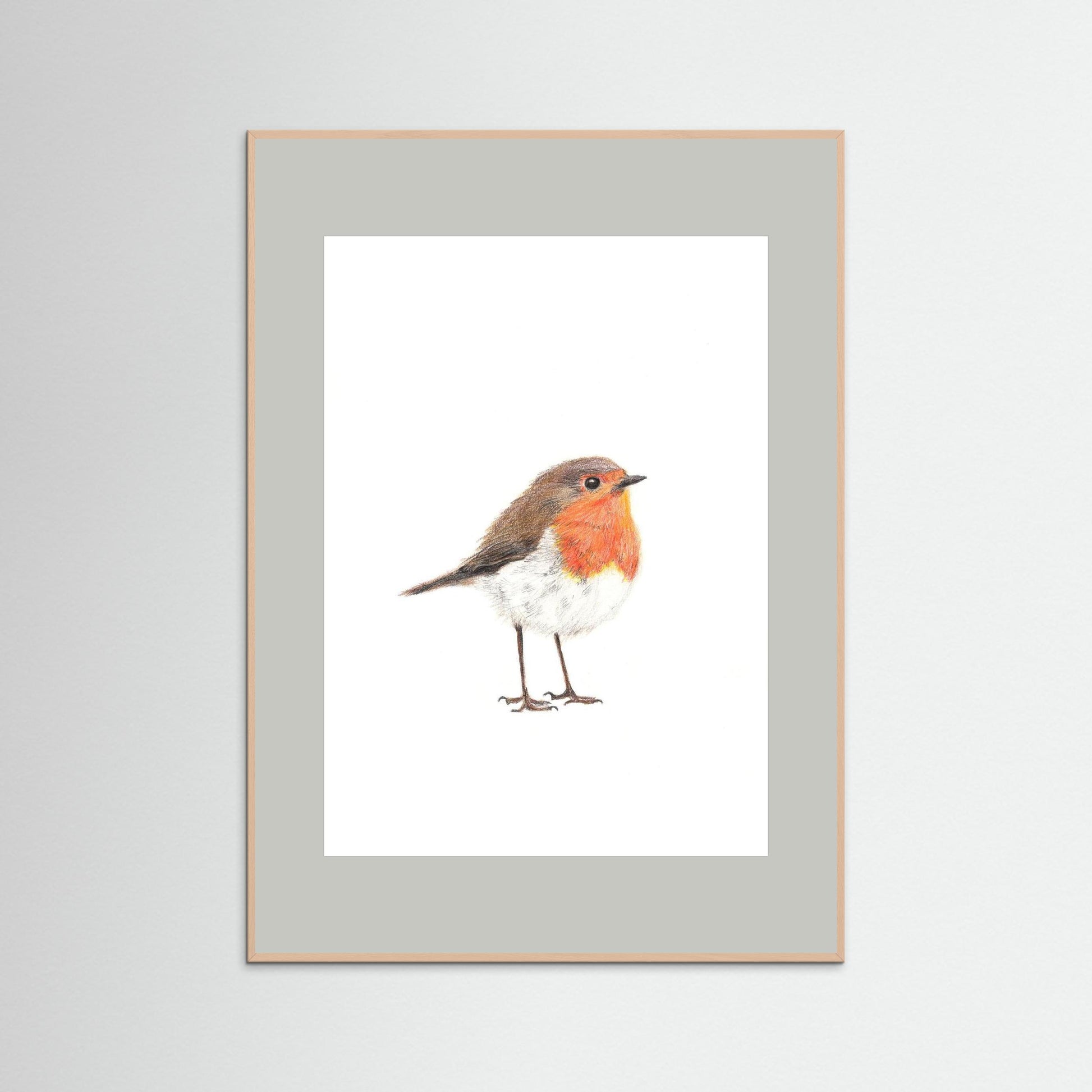 Robin Art Print | Wildlife Wall Art for Nature Lovers