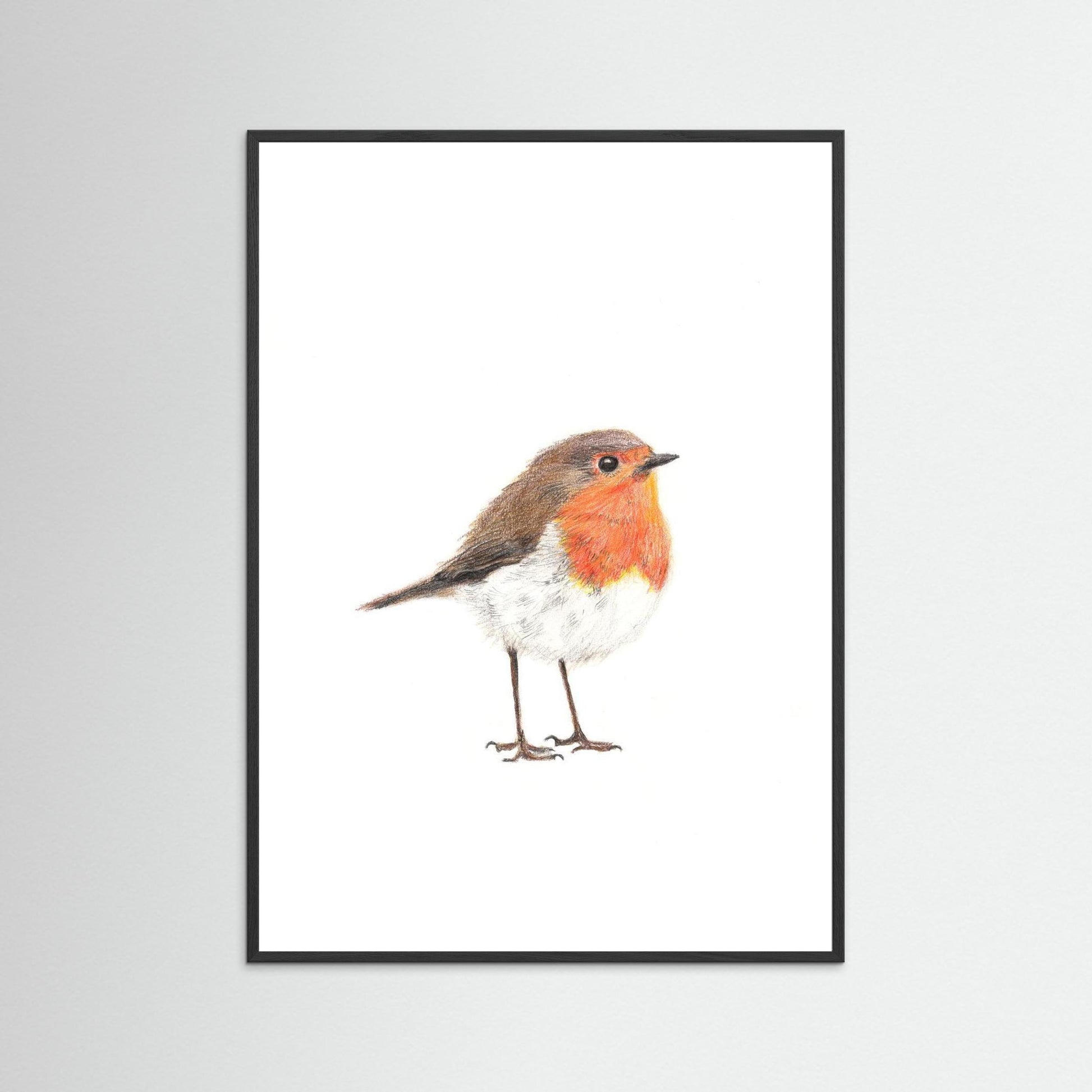 Robin Art Print | Wildlife Wall Art for Nature Lovers